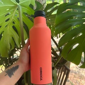 corkcicle water bottle